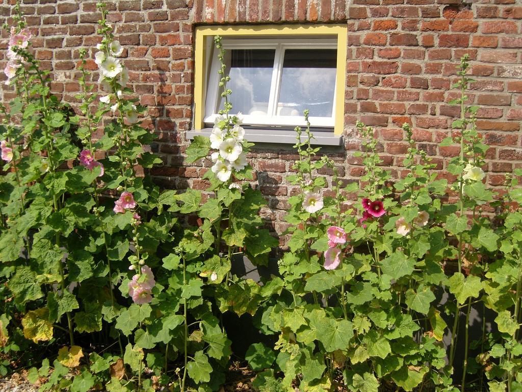 Bed & Breakfast Appeltern エクステリア 写真